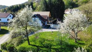 an aerial view of a house with flowering trees at Apartma Laganini in Bosiljevo
