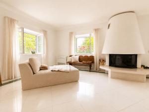 a living room with a couch and a fireplace at Quinta do Carril in Reguengo