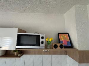 a microwave sitting on a shelf in a kitchen at Apartma Laganini in Bosiljevo