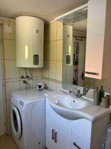 a bathroom with a sink and a washing machine at Apartma Laganini in Bosiljevo +35 photos