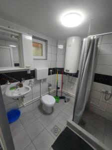 a bathroom with a toilet and a sink at Apartmani Vlatkovic 1 Zavojsko jezero in Pirot