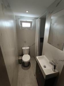 a small bathroom with a toilet and a sink at Villa Archontiko in Mirodháton +17 photos