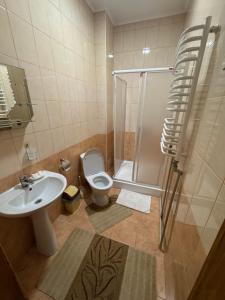 a bathroom with a shower and a toilet and a sink at Berizka in Yaremche +55 photos