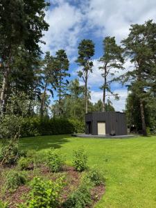 a smallolithicolithicolithicolithicolithicolithicolithicolithicolithicolithic house in a field at Beautiful Tinyhouse near the Beach in Lapmežciems +29 photos