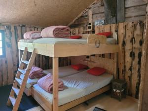two bunk beds in a room with wooden walls at Beaver Creek Ranch in Rothenthurm