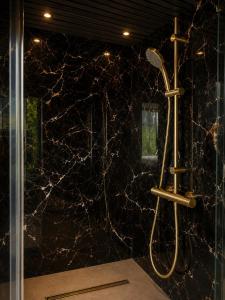 a bathroom with a shower with black marble at Bed&Bus met dakterras in Rucphen