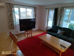 a living room with a couch and a tv at Sentrumsnær leilighet in Trondheim