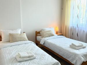 two beds sitting next to each other in a bedroom at Apartman Stankovic in Negotin