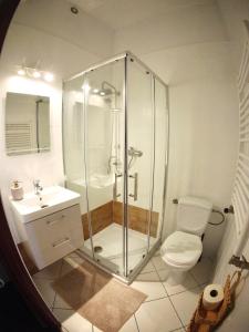 a bathroom with a shower and a toilet and a sink at Siedlisko Szwałk in Szwalk +58 photos