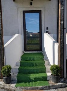 a stairway leading to a door with green grass at Dimora Melania in San Nicola Arcella