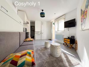 a living room with a couch and a tv at Cosyholy in Vitry-sur-Seine