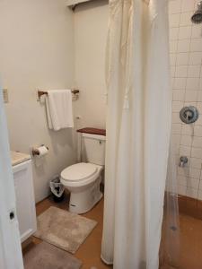 a bathroom with a toilet and a shower curtain at Guest house in Tujunga +4 photos