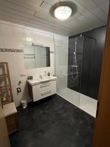 a bathroom with a sink and a shower at Apartment Bacher in Wald im Pinzgau +14 photos
