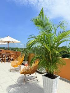 a patio with chairs and a palm tree in a pot at Hotel Paranawa in Baranoa