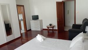 a living room with a bed and a tv at Apartamento Planeta 2º Dcha in O Porto de Espasante