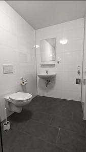 a bathroom with a toilet and a sink at Gauaz Boardinghouse in Maisach