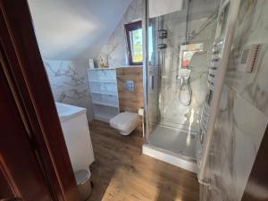a bathroom with a shower and a toilet at MB House Sarbinowo in Sarbinowo +16 photos