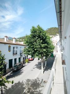 Blick auf eine Straße mit einem Baum und Gebäuden in der Unterkunft El Bosque NOMADA 5 in El Bosque