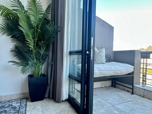 a potted plant in a room with a window at Meerendahl Luxury Apartments at Tyger Lake in Cape Town