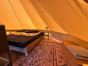 a cat laying on a bed in a tent at Glamping de Hof van Eeden in Warmond