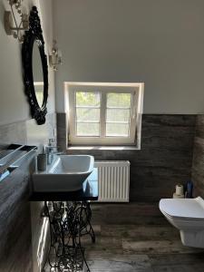 a bathroom with a sink and a toilet and a mirror at B&B Stare Łysogórki in Stare Łysogórki