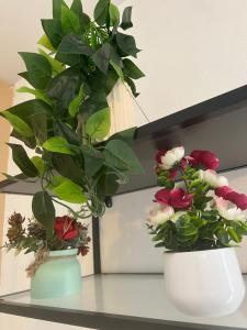 two white vases with flowers on a shelf at Splendide, FACE MER avec place de parking PRIVEE in Berck-sur-Mer +1 photo