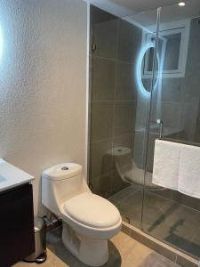 a bathroom with a toilet and a glass shower at Marias Apartment Parque Mateo in El Rodeo
