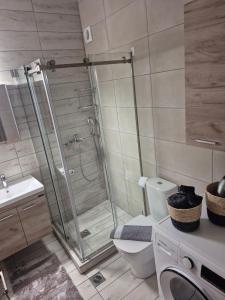 a bathroom with a shower and a toilet and a sink at Flaburiotis House in Dhriopís +48 photos
