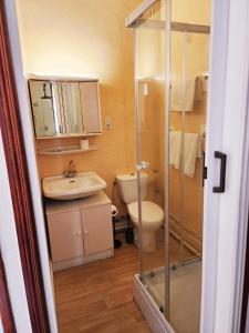a small bathroom with a toilet and a sink at Chambre chez Marie et Didier 1 minute à pied du sanctuaire de Lourdes in Lourdes