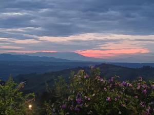 a view from the top of a mountain with purple flowers at El Respiro in Buenavista +9 photos