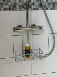 a shelf in a bathroom with a bottle on it at Casa Théodore in San-Nicolao