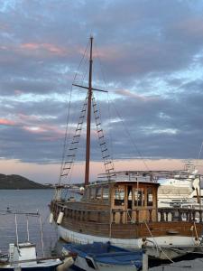 a boat is docked at a dock in the water at Apartman Velina in Pakoštane +15 photos