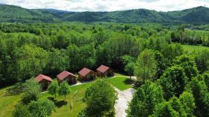an aerial view of a house in the woods at Dwór Piotra i Pawła- pokoje i domki in Miedzygorze
