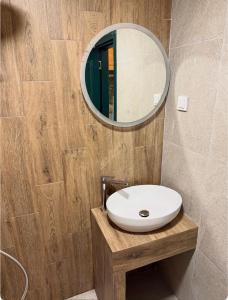 a bathroom with a sink and a mirror at Skadar Lake Hideaway in Karuč +26 photos