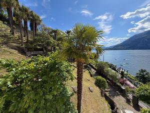 a palm tree sitting next to a body of water at Villa Guardini - Lago di Como in Varenna