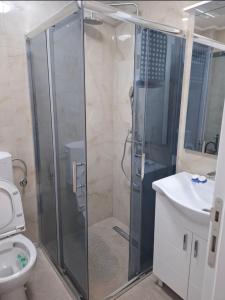a bathroom with a shower and a toilet and a sink at Villa Aqua Tuzla in Drenovik