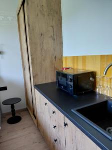 a microwave sitting on a counter in a kitchen at Apartamenty Etno Pieniny in Jaworki
