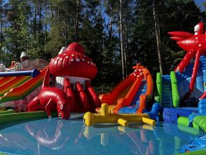 a water park with a water slide in a pool at Domek Na Gwizdówce nr52 in Załakowo +23 photos