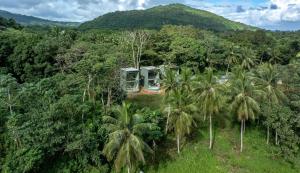 a house in the middle of a forest with palm trees at Elegant and Stylish - Riverside Tiny House Apartment in El Valle