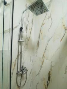 a shower with a shower head in a bathroom at Villa Domini in Soverato Marina