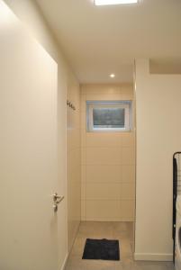 a bathroom with a shower with a door and a window at Apartment la rosa in Weißensberg +25 photos