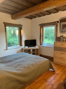 a bedroom with a bed and a tv and two windows at Pas Šerną in Macionys
