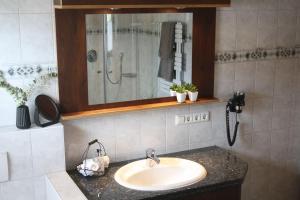 a bathroom with a sink and a shower at Sonnseite in Punschern in Teisendorf +18 photos