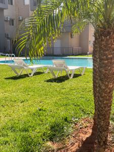 a picnic table next to a palm tree next to a pool at Azra Homes Famille uniquement in Saïdia
