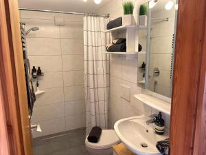 a bathroom with a shower and a toilet and a sink at Haus Wimbachtal in Ramsau