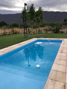 a blue swimming pool with a tree in the middle at Cina Cina, casita in Zonda