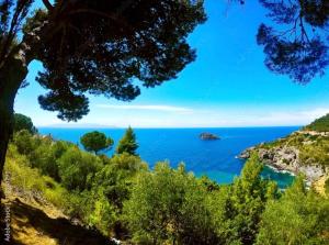 a view of the ocean from a hill at Relax in Maremma tra Saturnia e Argentario in Pancole +14 photos