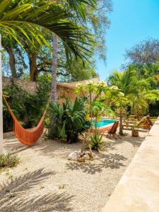 a hammock in a garden with trees and a pool at Nuik Casa Tropical in Mérida