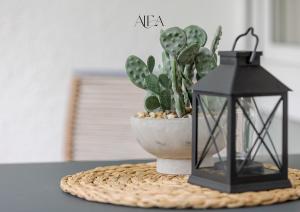 a black lantern sitting on a table with a cactus at ALEA-Apartment - Bad Wildbad in Bad Wildbad +21 photos