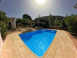 a swimming pool with blue water in a yard at Molino del Caracol in Benaoján